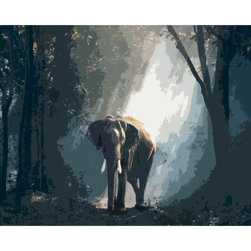 Paint By Number Elephant In Forest