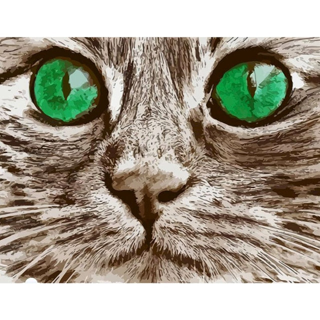 Big Eyed Cat Paint By Numbers