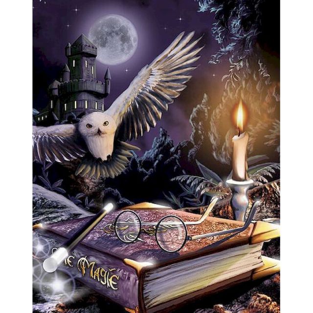Paint By Numbers Magic Owl