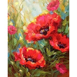 Painting By Numbers Poppy Field