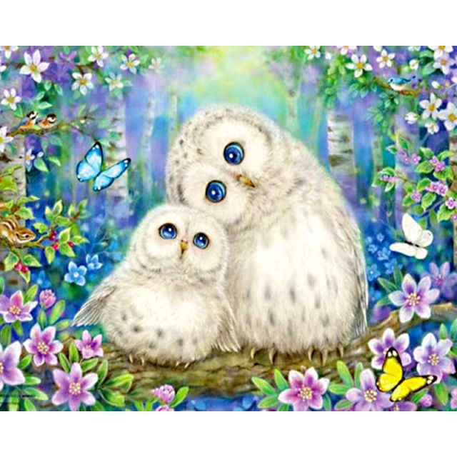 Paint By Number Two White Owl