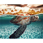Paint By Numbers Turtle At Surface