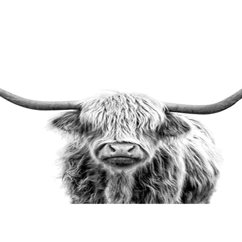 Highland Cow Paint By Numbers