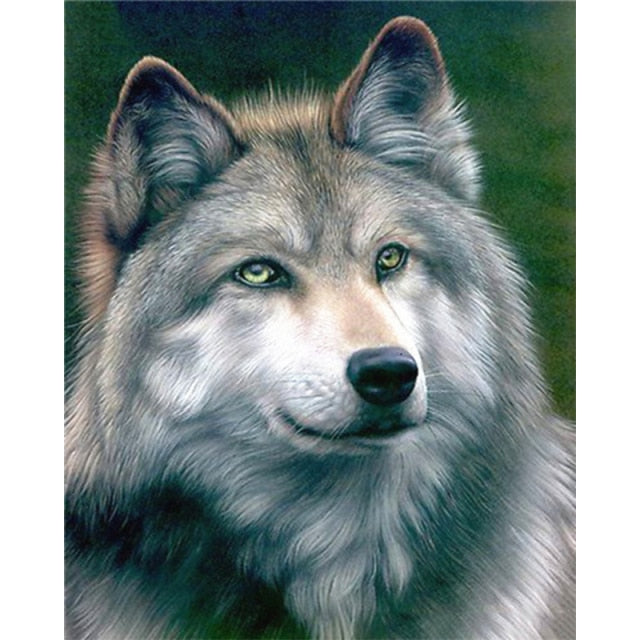 Reeves Painting By Numbers Wolf