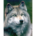 Reeves Painting By Numbers Wolf