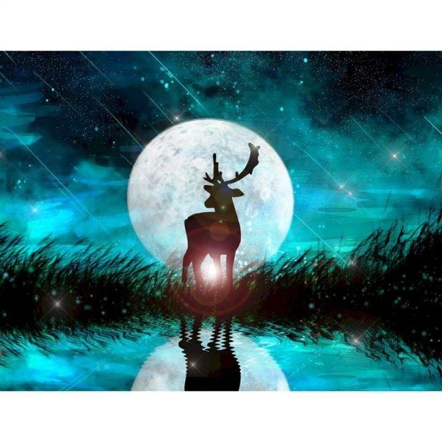 Paint By Numbers Deer Moon 