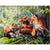 Paint By Numbers Foxes