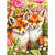 Couple Of Fox 