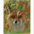 Persistent Look (fox)