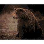 Careful Bear - Paint By Numbers Bear