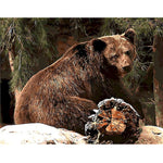 Paint By Number Back Bears