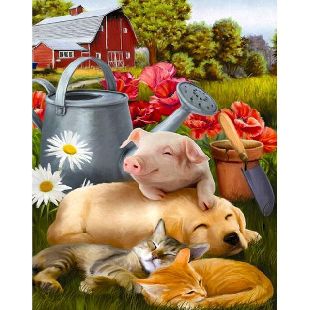 Pig And His Friends