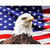 Paint By Numbers Eagle In Front Of Flag