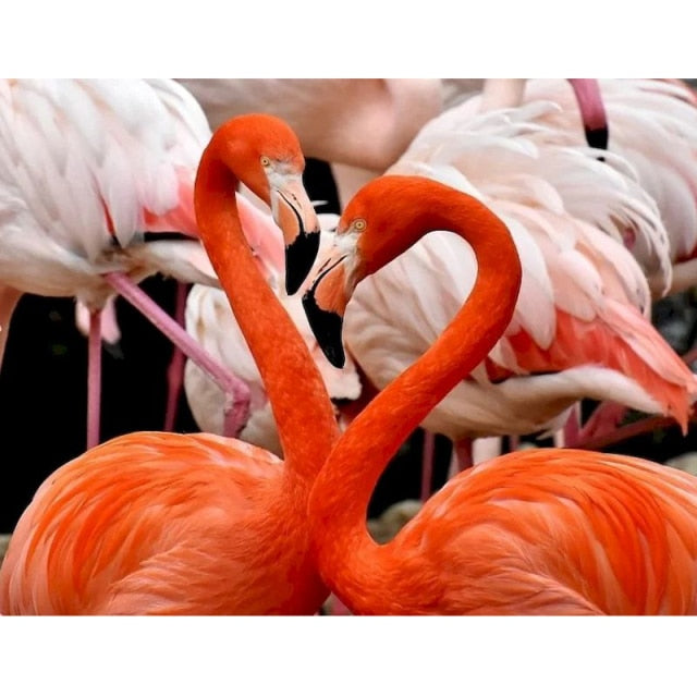 Photo Of Pink Flamingo Paint By Numbers