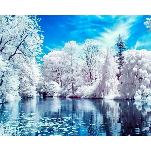 Paint By Number White Forest