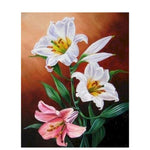 White and Pink Flowers - Paint By Numbers Flowers