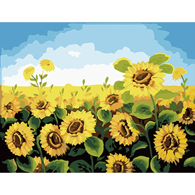 An Afternoon In A Sunflower Field