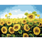 An Afternoon In A Sunflower Field