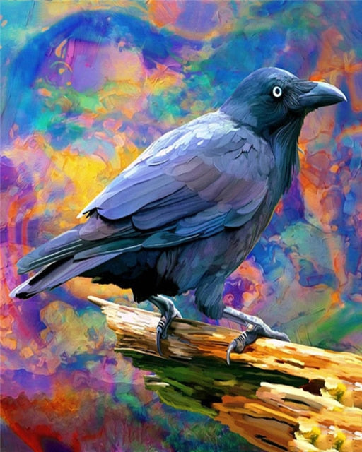 Raven