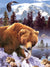 Brown Bear Fishing