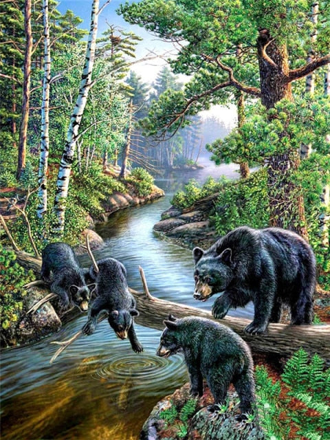 Black Bear Family