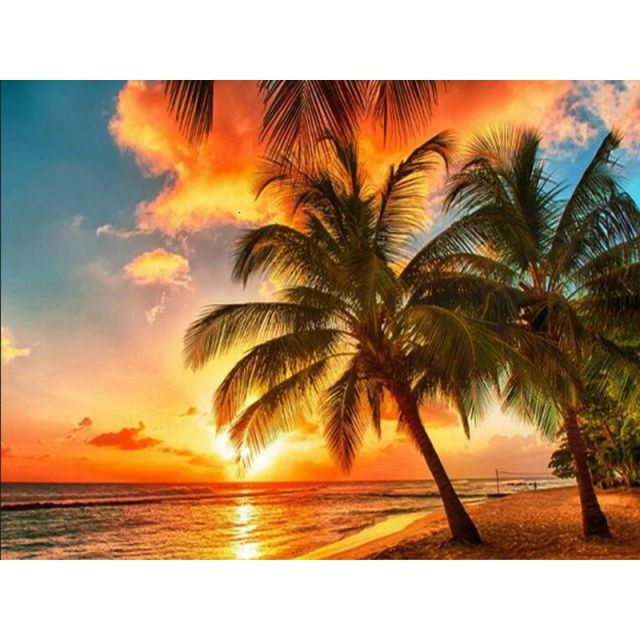 Paint By Numbers Sunset Coconut