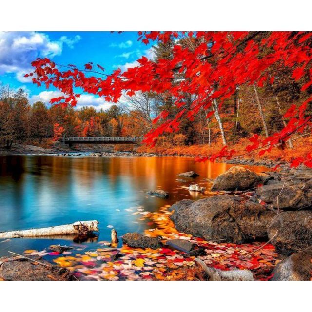 Paint By Number Red Forest