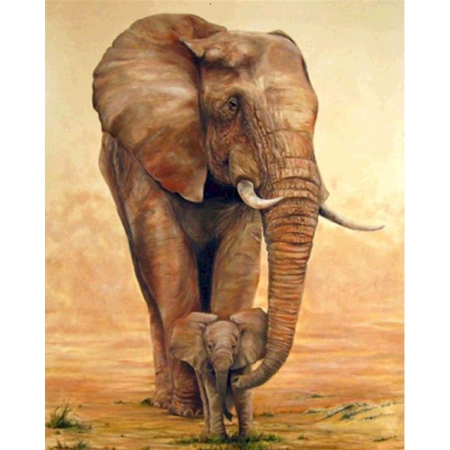 Paint By Numbers Elephant And Her Baby
