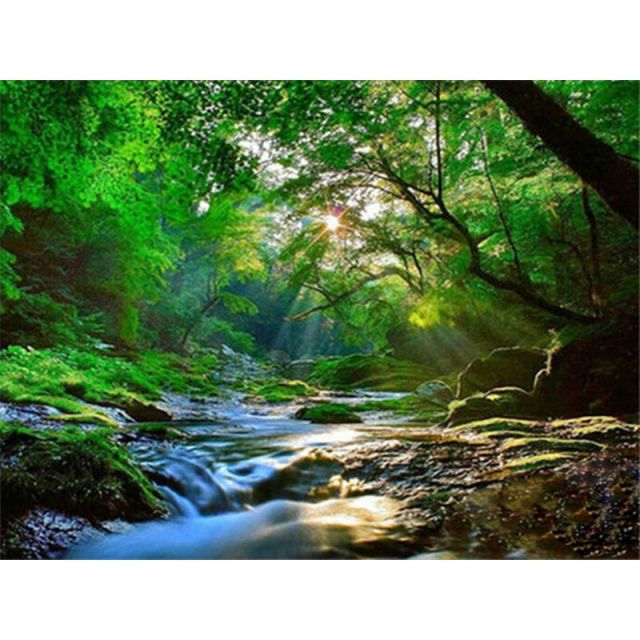 Paint By Numbers Peaceful Forest