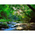 Paint By Numbers Peaceful Forest