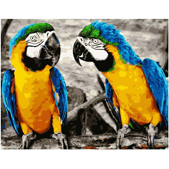 Parrot Paint By Numbers Kit