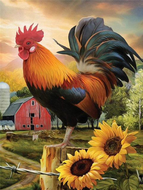 Farm Rooster