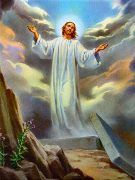 Jesus Risen From The Grave