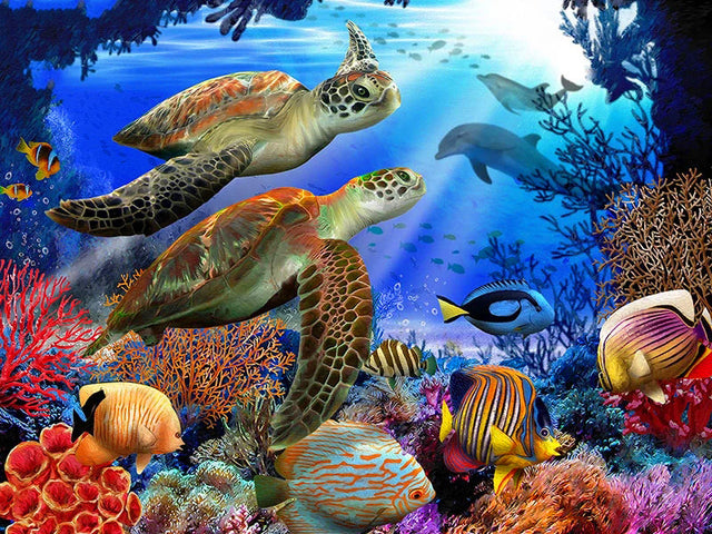 Turtle And Coral