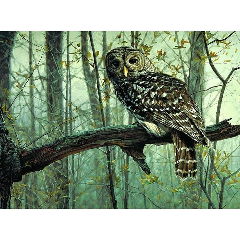 Paint By Number Owl In Forest