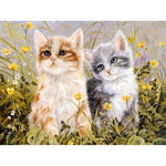 Paint By Number Two Kitten