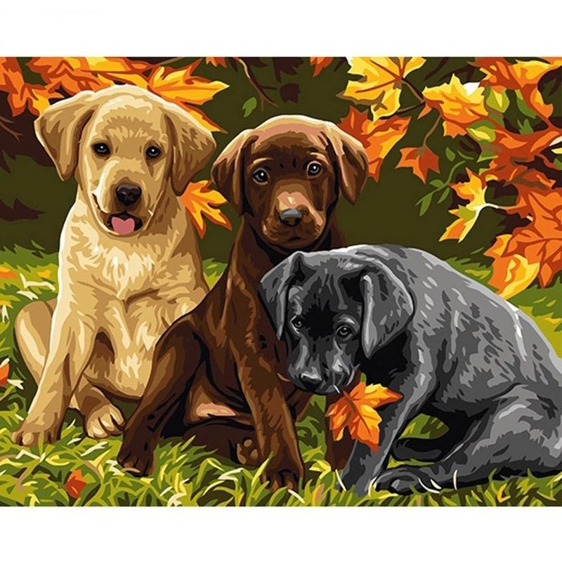 Paint By Numbers Puppies