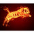 Paint By Numbers Fire Tiger